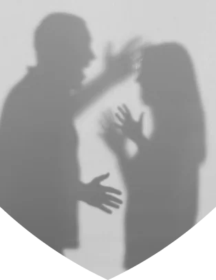 Domestic Violence Protection Orders